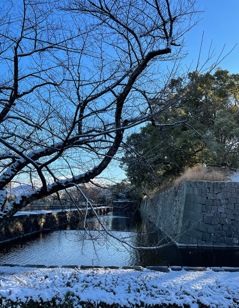 二条城のお堀の雪景色
